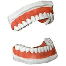 Carmel Dentures and Partial Dentures